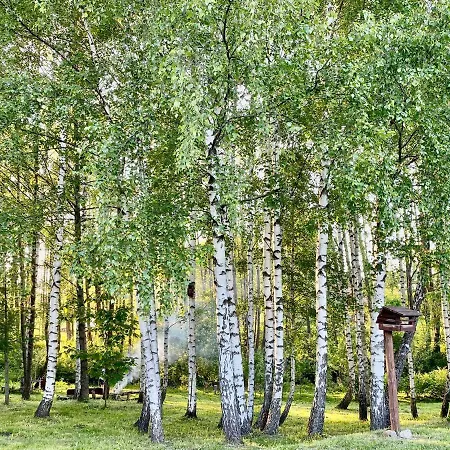 Brzozowy Chillout Holiday home *