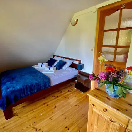 Brzozowy Chillout 別荘 *