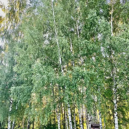 Nyaraló Brzozowy Chillout