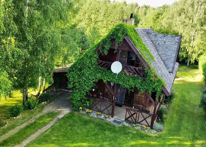 Brzozowy Chillout Dubeninki