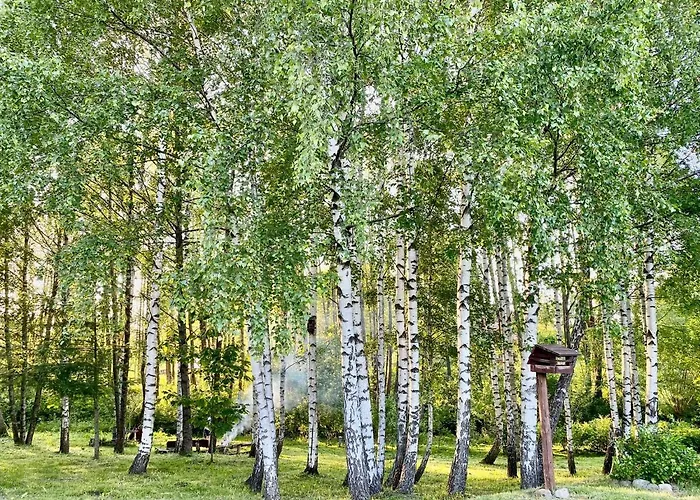 Brzozowy Chillout Сasa de vacaciones *