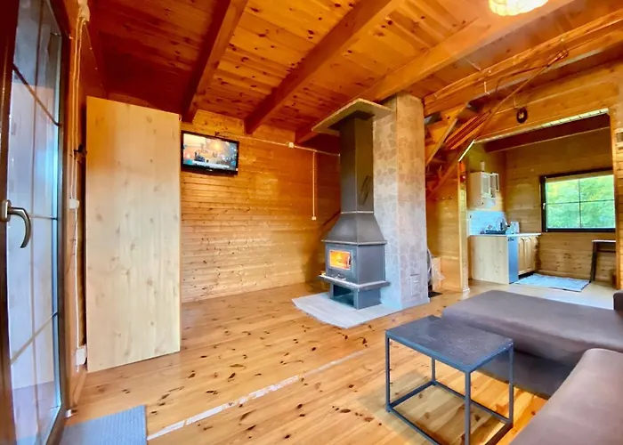 Brzozowy Chillout Hébergement de vacances