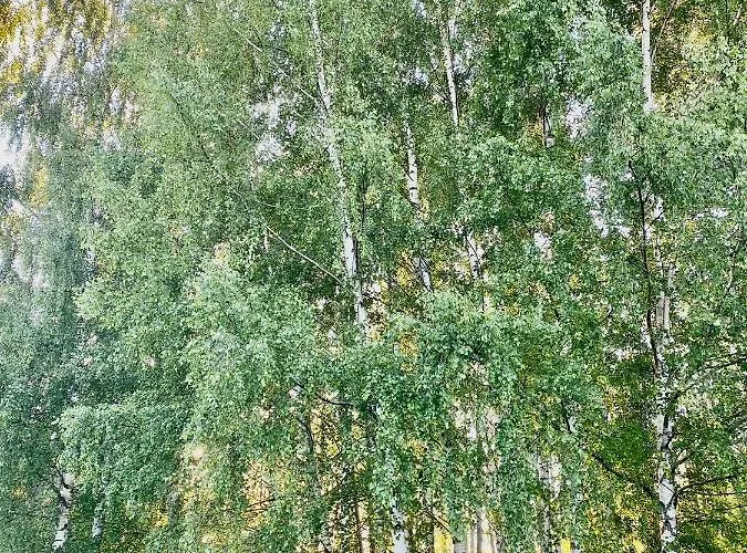 Hébergement de vacances Brzozowy Chillout