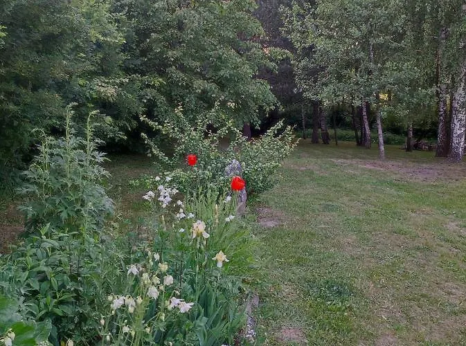 Сasa de vacaciones Brzozowy Chillout *